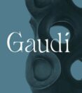 Gaudí-13610362-otro-formato