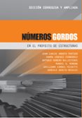 números gordos en el proyecto de estructuras (ebook)-juan carlos arroyo portero-9788493227067 números gordos en el proyecto de estructuras (ebook)-juan carlos arroyo portero-9788493227067