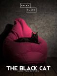 Descarga gratuita de libros electrónicos para j2ee THE BLACK CAT RTF FB2 iBook in Spanish de JOHN TODHUNTER 9788827527467