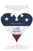 wide awake-david levithan-9780375834677 wide awake-david levithan-9780375834677