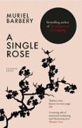 A SINGLE ROSE