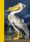 aves extraordinarias-mark avery-9788408181477 aves extraordinarias-mark avery-9788408181477