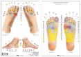 reflexologia podal-miguel hernandez-9788494518577 reflexologia podal-miguel hernandez-9788494518577