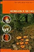 hongos y setas: tesoro de nuestros montes-juan andres oria de rueda-9788495018977 hongos y setas: tesoro de nuestros montes-juan andres oria de rueda-9788495018977