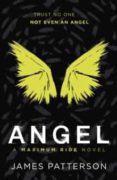 ANGEL: A MAXIMUM RIDE NOVEL (MAXIMUM RIDE 7)-12450054-otro-formato