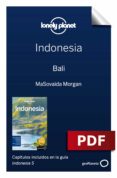 Leer descarga de libro INDONESIA 5_3. BALI in Spanish CHM