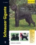 schnauzer gigante-barbara andrews-9788425515187 schnauzer gigante-barbara andrews-9788425515187