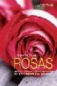 el gran libro de las rosas-chantal de rosamel-9788431540487 el gran libro de las rosas-chantal de rosamel-9788431540487