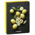 senttia limon-9789876377287 senttia limon-9789876377287