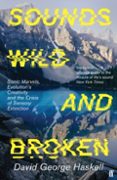 SOUNDS WILD AND BROKEN-17514846-otro-formato