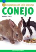 50 consejos de oro para tu conejo-amanda o neill-9788425516597 50 consejos de oro para tu conejo-amanda o neill-9788425516597