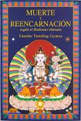 Muerte y reencarnación-12545658-otro-formato