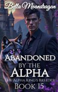 ABANDONED BY THE ALPHA: THE ALPHA KING'S BREEDER BOOK 15