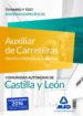 auxiliares de carreteras (grupo iv personal laboral de la junta de castilla y leon). temario y test materias especificas-9788490939727 auxiliares de carreteras (grupo iv personal laboral de la junta de castilla y leon). temario y test materias especificas 9788490939727