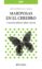 mariposas en el cerebro (ebook)-luis javier plata rosas-9786079202507 mariposas en el cerebro (ebook) luis javier plata rosas 9786079202507