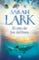 el año de los delfines-sarah lark-9788466664707 el año de los delfines sarah lark 9788466664707