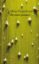 elecciones primarias (ebook)-silvia hopenhayn-9789870420217 elecciones primarias (ebook) silvia hopenhayn 9789870420217