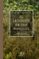 el lenguaje de los bosques-hasier larretxea-9788467051667 el lenguaje de los bosques hasier larretxea 9788467051667