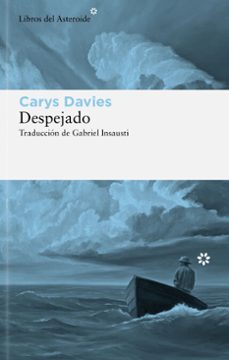 Portada de DESPEJADO (EBOOK)