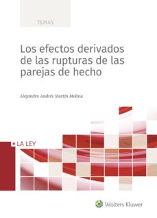Portada de LOS EFECTOS DERIVADOS DE LAS RUPTURAS DE LAS PAREJAS DE HECHO