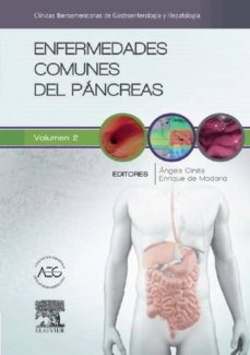 Portada de ENFERMEDADES COMUNES DEL PANCREAS: CLINICAS IBEROAMERICANAS DE GASTROENTEROLOGIA Y HEPATOLOGIA