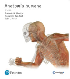 Descargas de libros digitales gratis ANATOMIA HUMANA 9788490355657 iBook de FREDERIC MARTINI en español