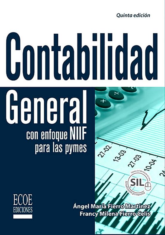 Ebook Contabilidad General Con Enfoque Niif Para Las Pymes Ebook De Angel Maria Fierro Martinez 0220