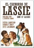 el cachorro de lassie (dvd)-8436541009097 el cachorro de lassie (dvd)-8436541009097